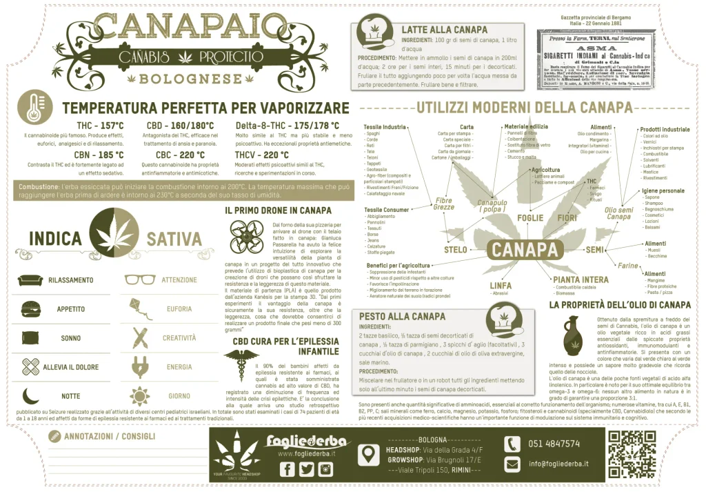tovaglietta Foglie d'erba